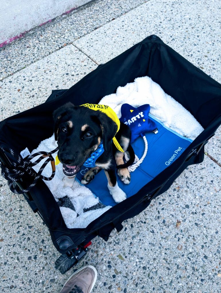 pxl_20250902_2147144418502291261831859952.