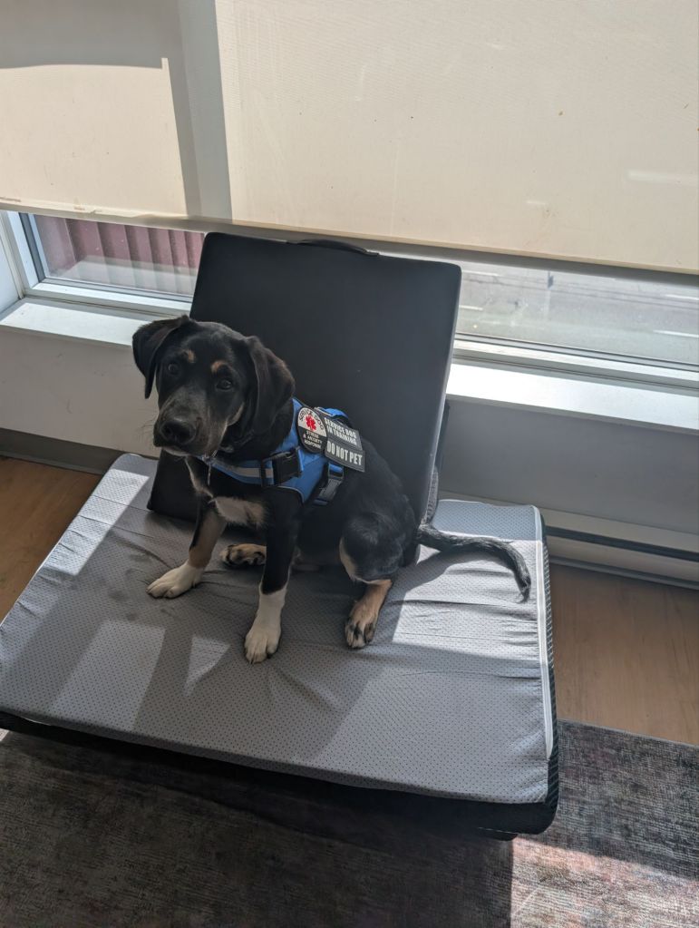 pxl_20251009_2007570799020445673023151027