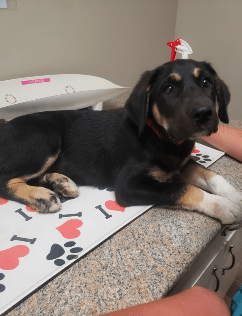 screenshot_20250829-0759077985913774827012789