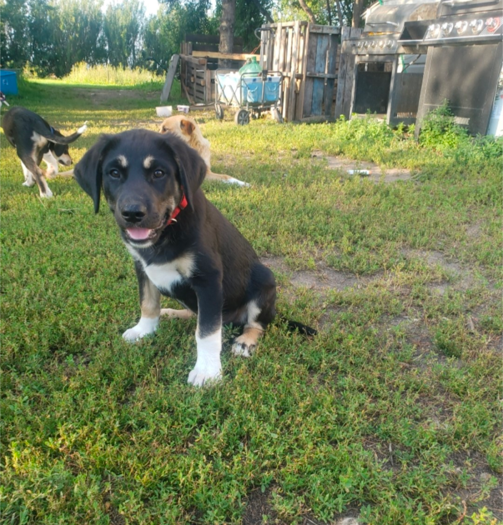 screenshot_20250830-1924181403188582835111442