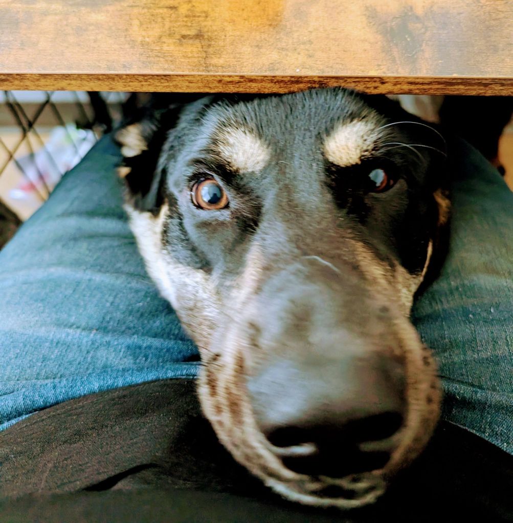 pxl_20260415_155122297~23531577697919835201.