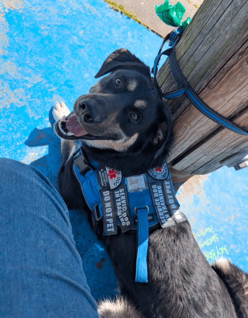 screenshot_20260408-1804476497145098802294167